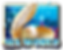 sea world slot game