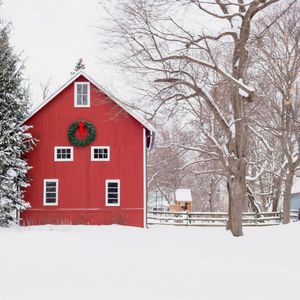Farmhouse December: Daily Rhythms on a Homestead in the Heart of Winter 🌿