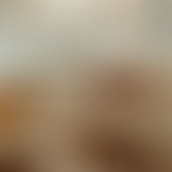 New Year, Same Home: Simple Updates That Make Your Space Feel New 🌿