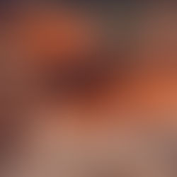 🎃 October 26th is National Pumpkin Day: A Cozy Celebration of Autumn’s Favorite Icon 🌿