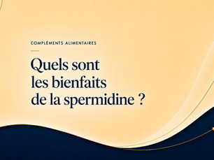 Quels sont les bienfaits de la spermidine ?