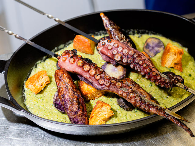 Octopus
