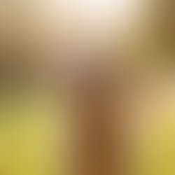 Caring for Your Golden Retriever: A Comprehensive Guide