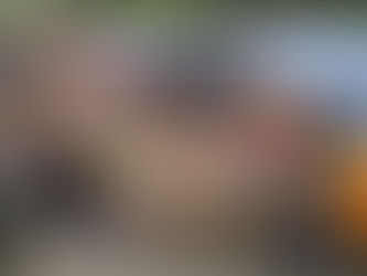 Main Line Diesel Locomotive Named 'Royal Corp of Signals' to Mark 33 Year Association with S