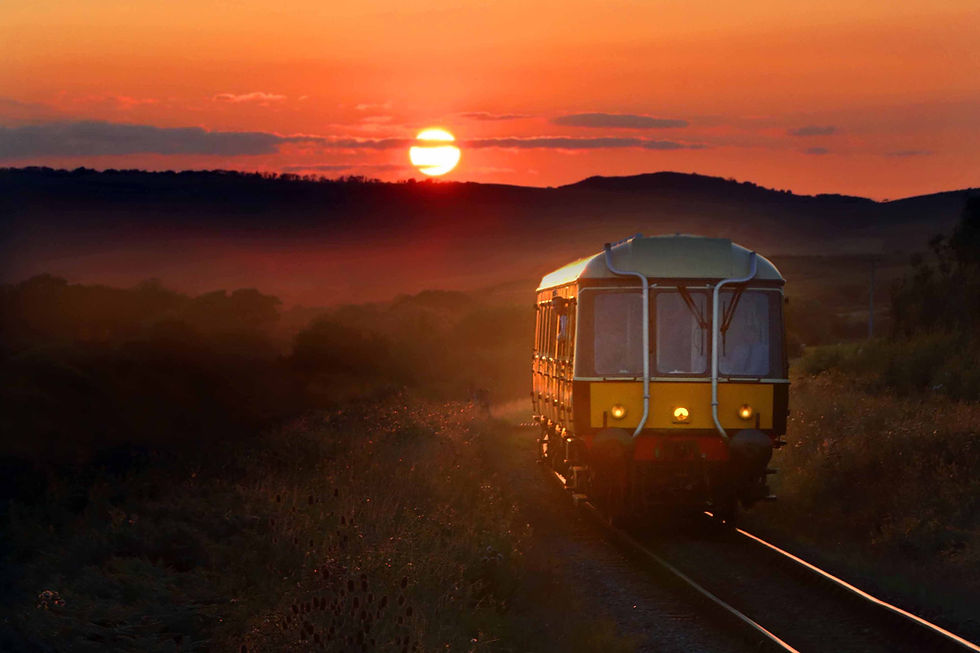 Photo: Andrew P.M. Wright