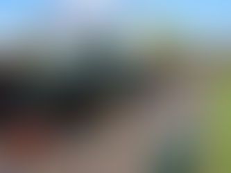 World famous ‘Flying Scotsman’ to celebrate Swanage Railway 50th Anniversary