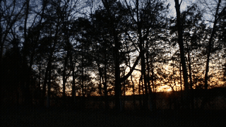 Adobe Express 2025-10-24 10.40.21.gif