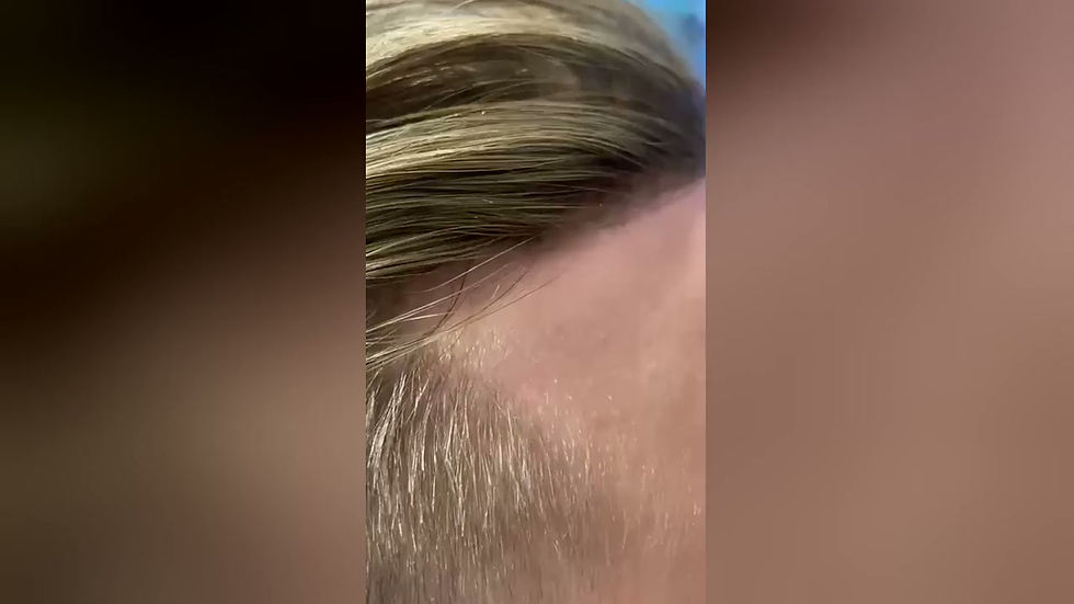 landscape_video.MP4