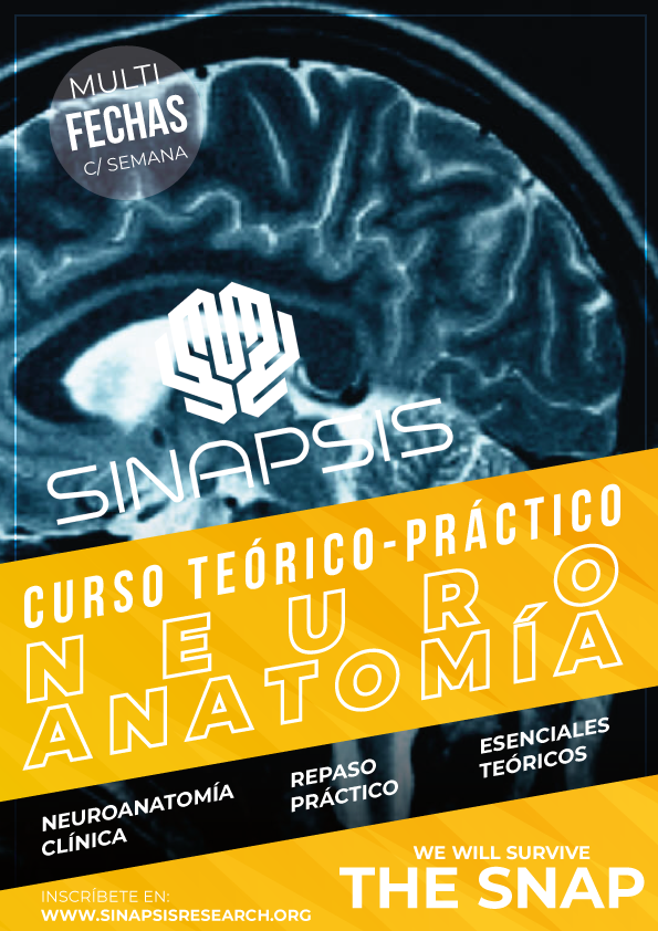 Curso Teórico Práctico de Neuroanatomía Clínica