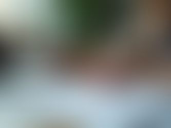 EFFECTIVE SOCIAL MEDIA PLANS THAT CONVERT