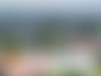 2026 MasterCard Scholarship at UC Berkeley (University of California Berkeley, USA) | Fully Funded