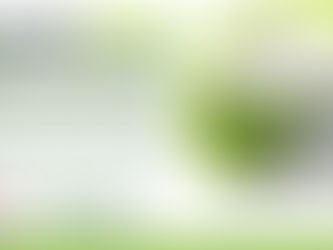 AgriTech Undergraduate Scholarship Programme for Nigerians | Fully Funded