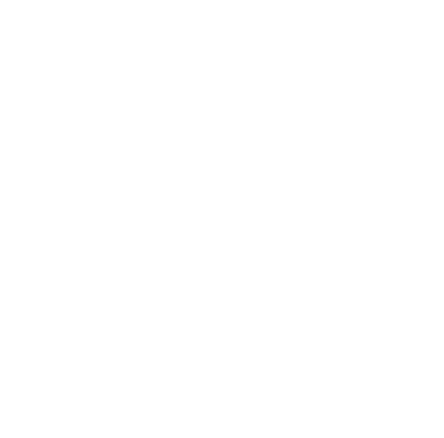 Escudo-Icono-Blanco-Turbo.gif