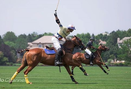 The Colorado Open