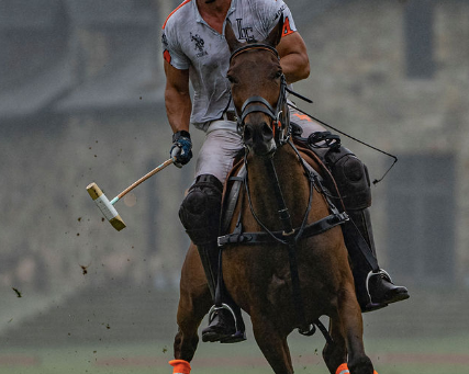Polo, Louis Devaleix's new beautiful life