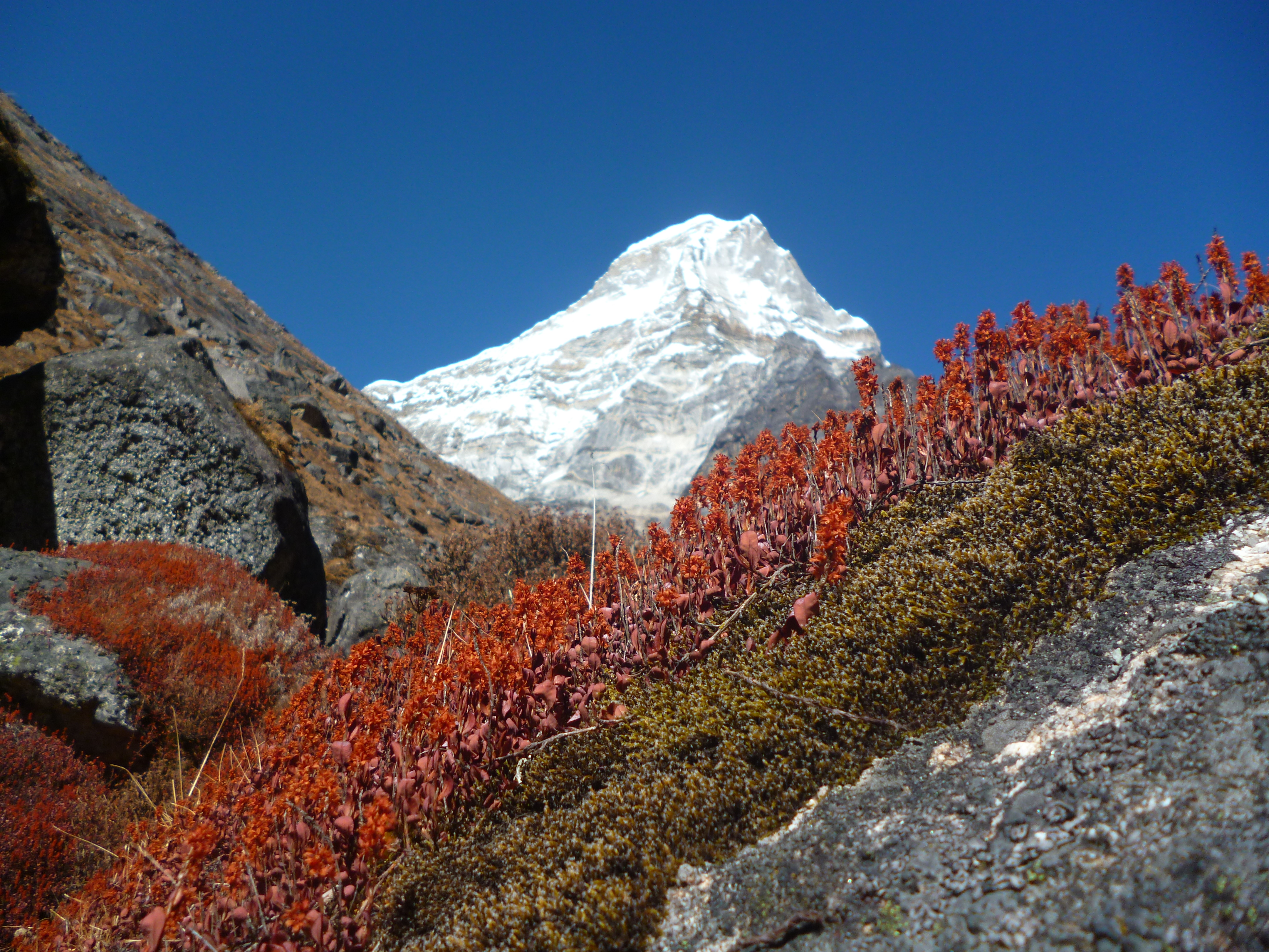 Wandern Nepal Nepal Go Trekking