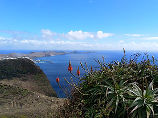 IMG_20181019_123159.jpg