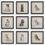Thumbnail: Loyal Companion Framed Prints, Set of 9