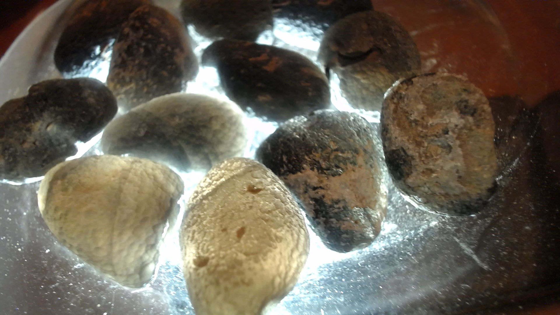 Pierre Cintamani Grade B