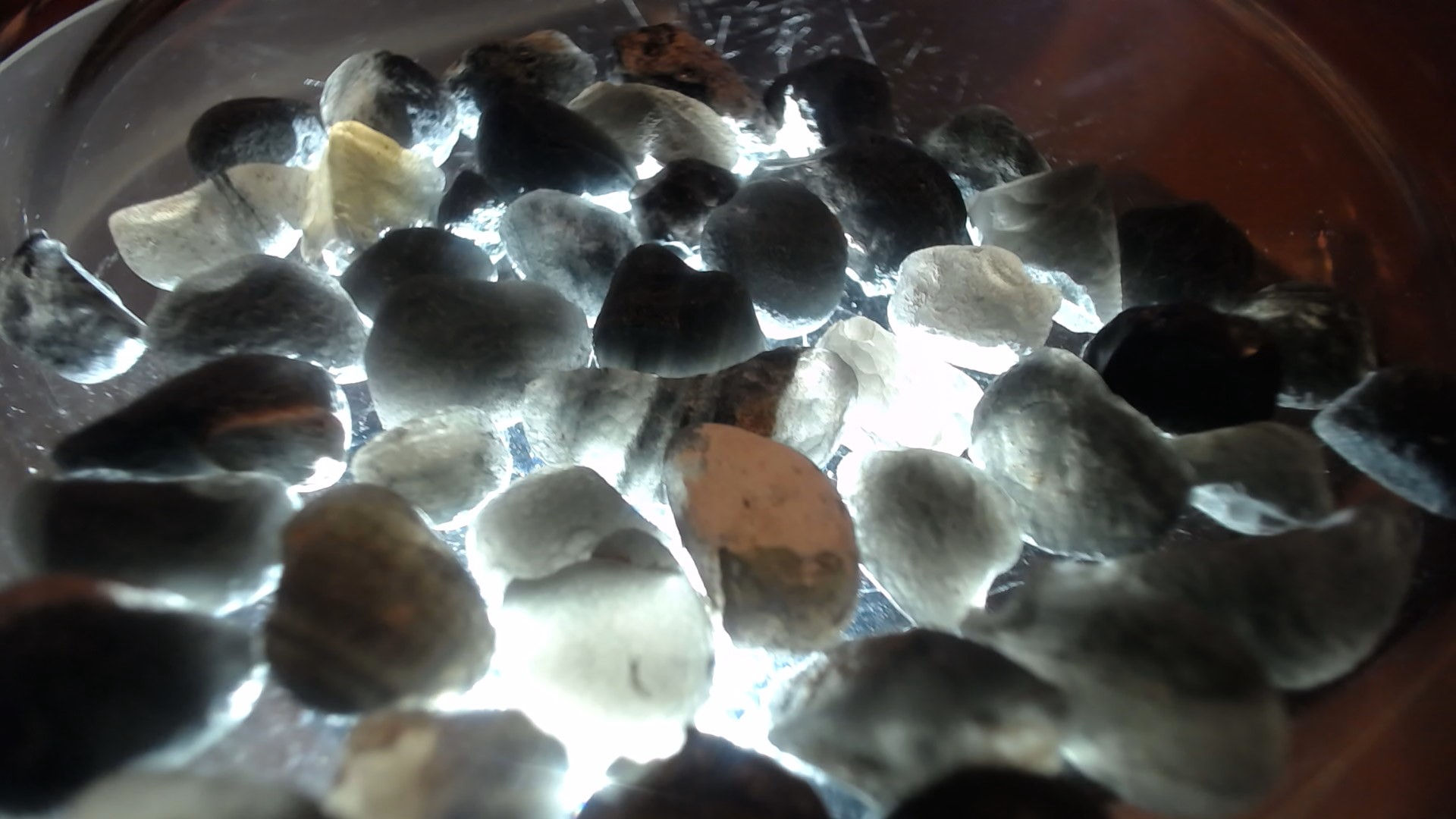 Pierre Cintamani Grade B