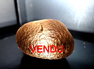 13_edited.jpg