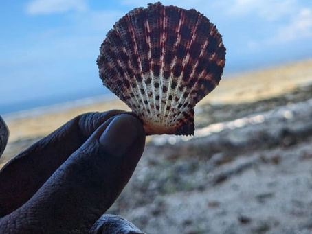 Don’t be Shell-Fish!