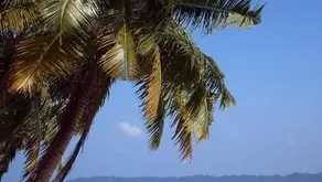 The Joys and Quirks of Life on a Tropical Island: Discovering the Magic of the Andaman Islands