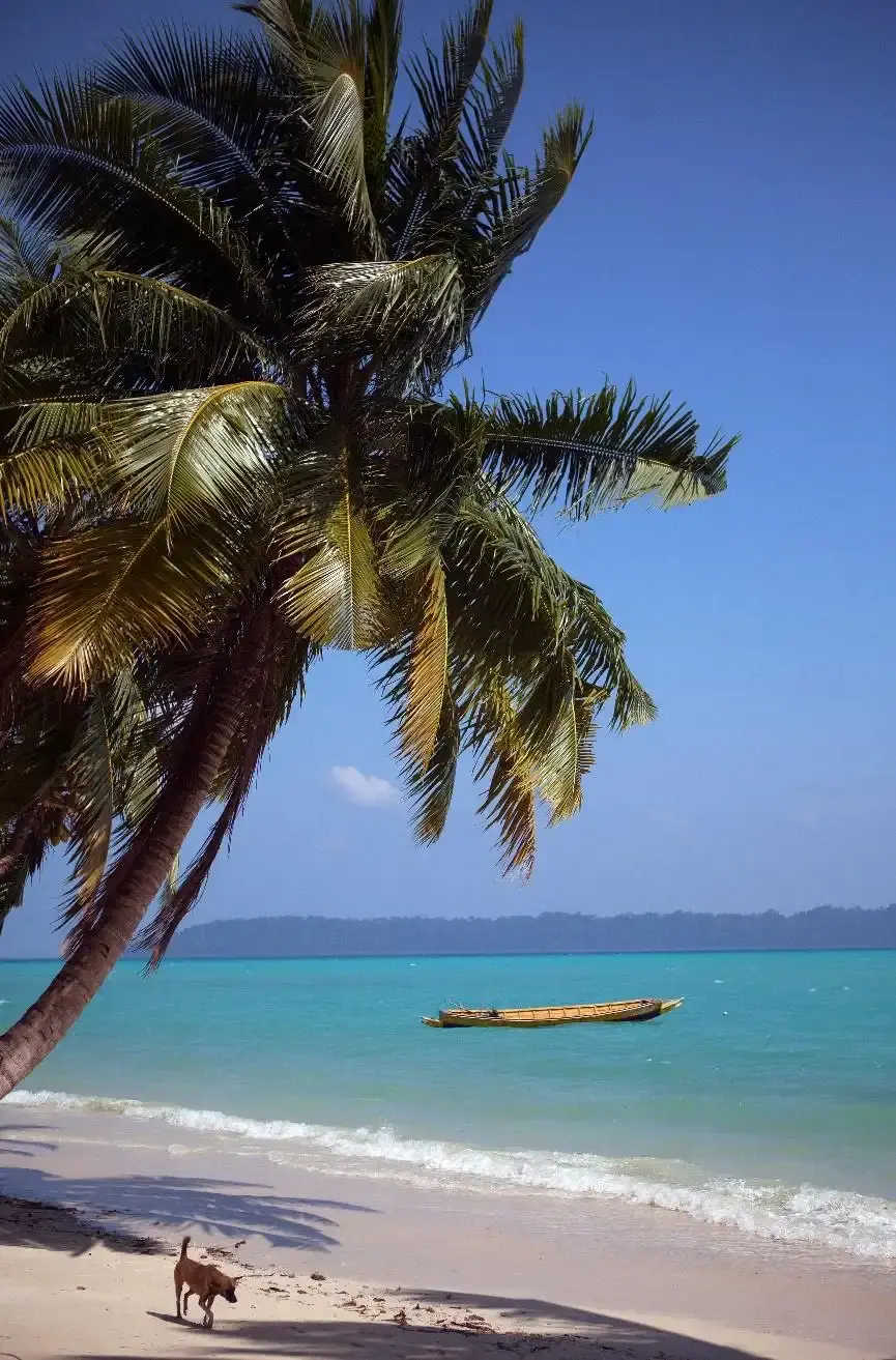 The Joys and Quirks of Life on a Tropical Island: Discovering the Magic of the Andaman Islands