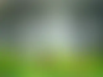 A Journey Through Life