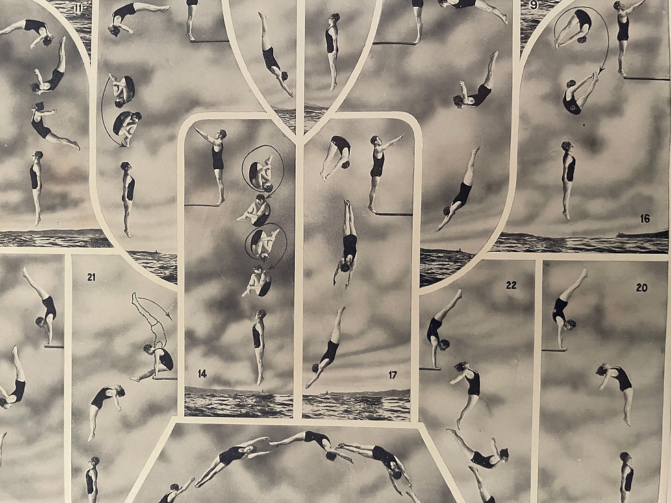 Miniature : Ancienne photo sur la natation (plongeon) - Recto/Verso