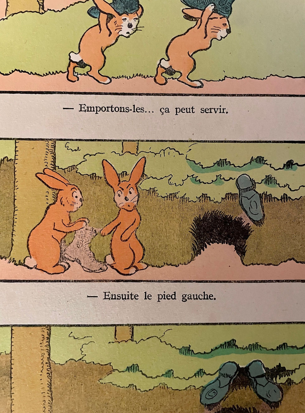 Miniature : Illustration humoristique "Le furet effrayé" - Lièvre