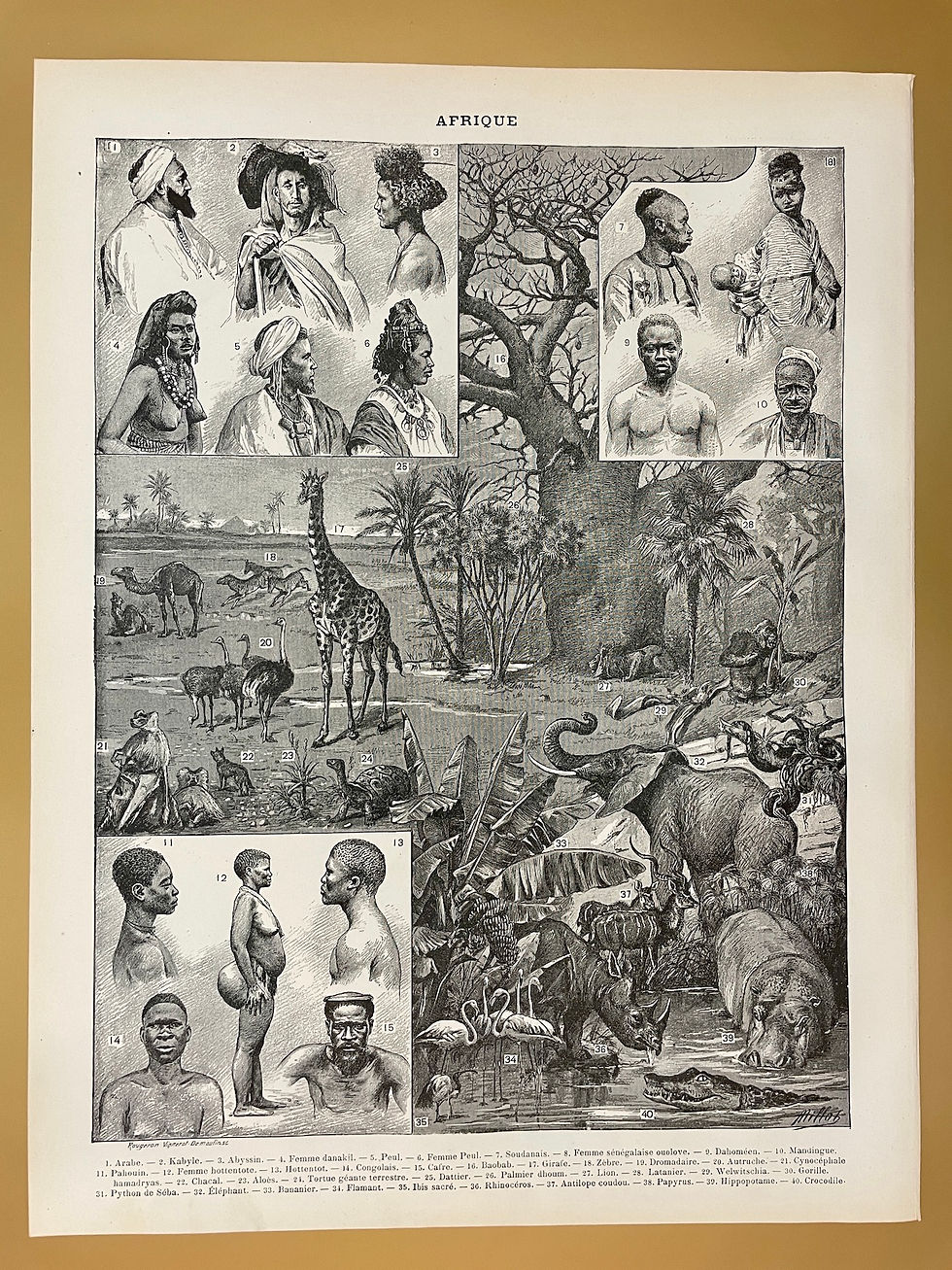 Ancienne gravure et carte sur l'Afrique - Recto/Verso