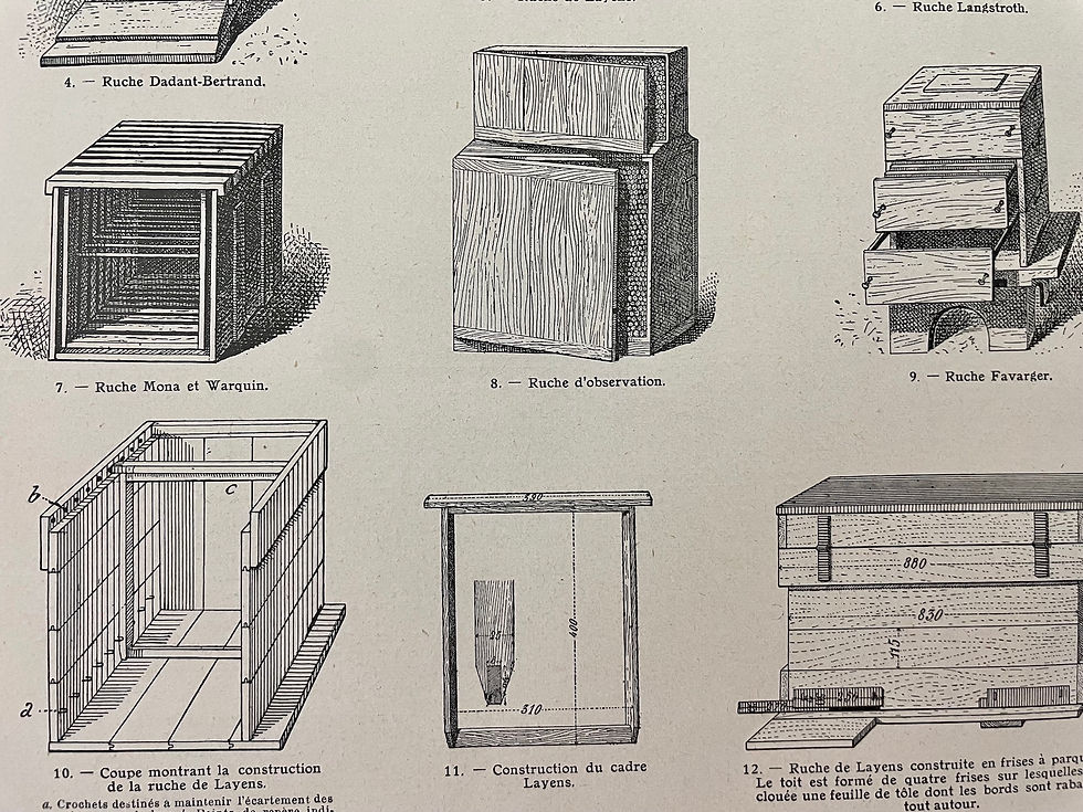 Miniature : Ancienne gravure sur la ruche des abeilles