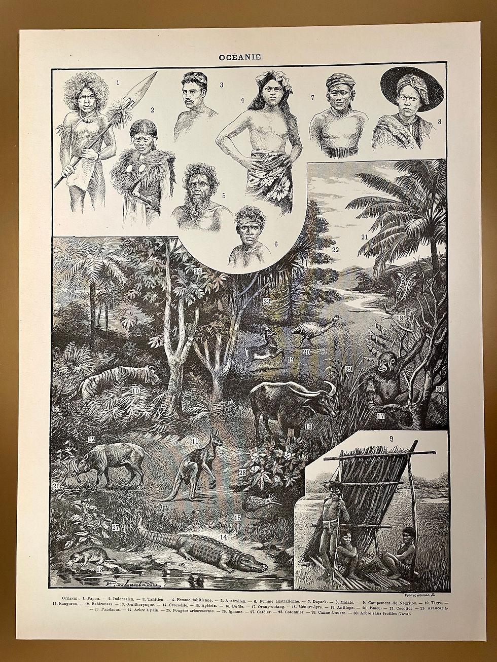 Ancienne gravure et carte sur l'Océanie - Recto/Verso