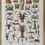 Miniature : Ancienne planche illustrée sur les crustacés - Recto/Verso