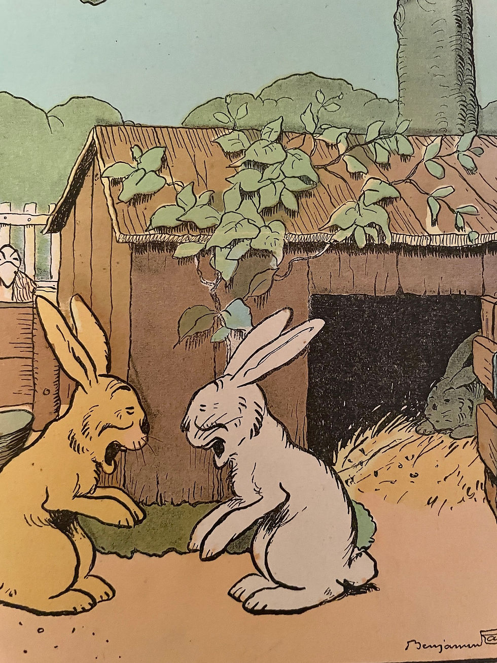 Miniature : Illustration humoristique "Au-delà" - Lapin