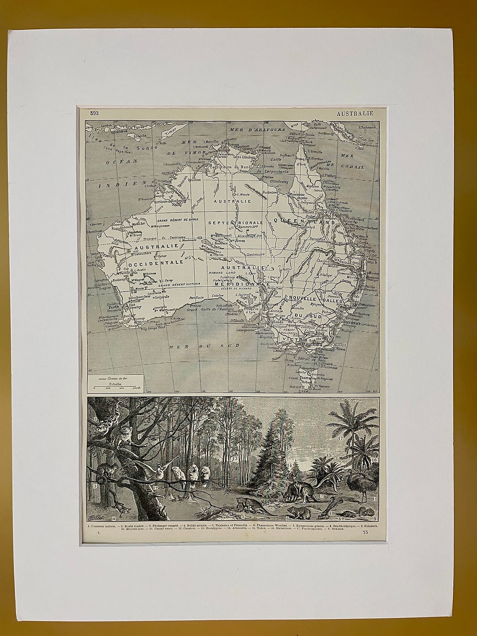 Miniature : Ancienne carte sur l'Australie
