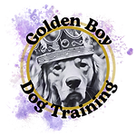 Golden Boy Dog Training (4).png