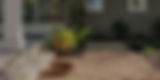 12092024_Rain_Lily_Fall-006_edited_edited.jpg