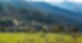Peloponnsos cohousing project plot