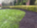 IMG_1939.jpeg