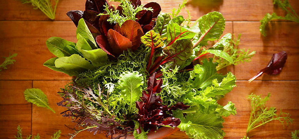 Muskran - Salad.JPG