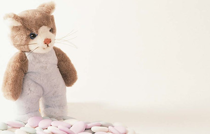 Kitten Stuffy