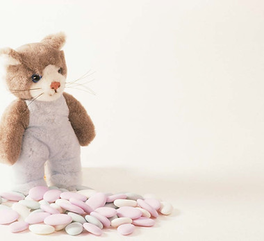 Kitten Stuffy