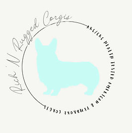 Corgis