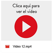 logo video12.png
