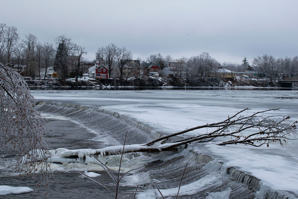 Tree (River)
