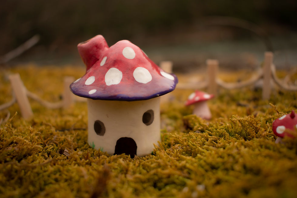 Mushroom5