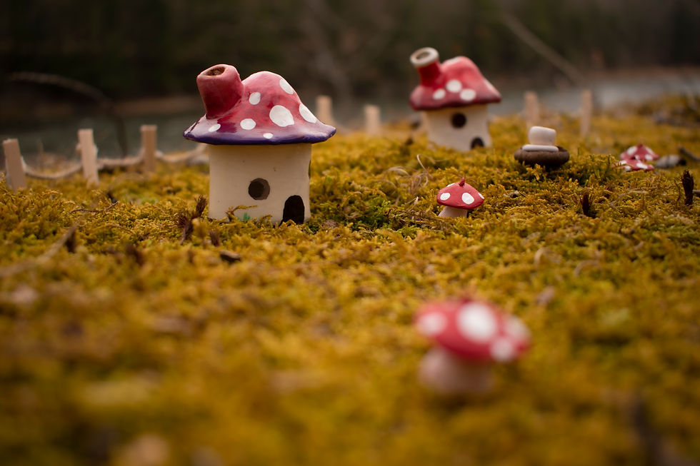Mushroom6
