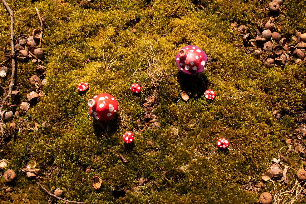 Mushroom1